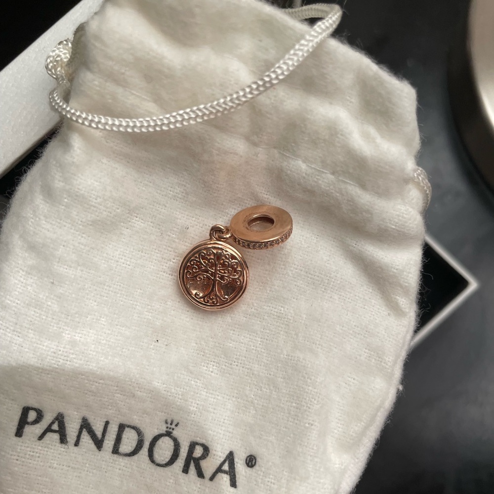 Family Forever Pandora Charm
